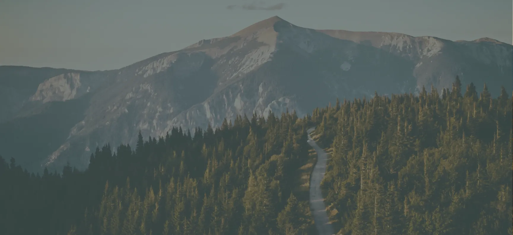 sierra about banner - Mental Health Treatment at Sierra Meadows Behavioral Health