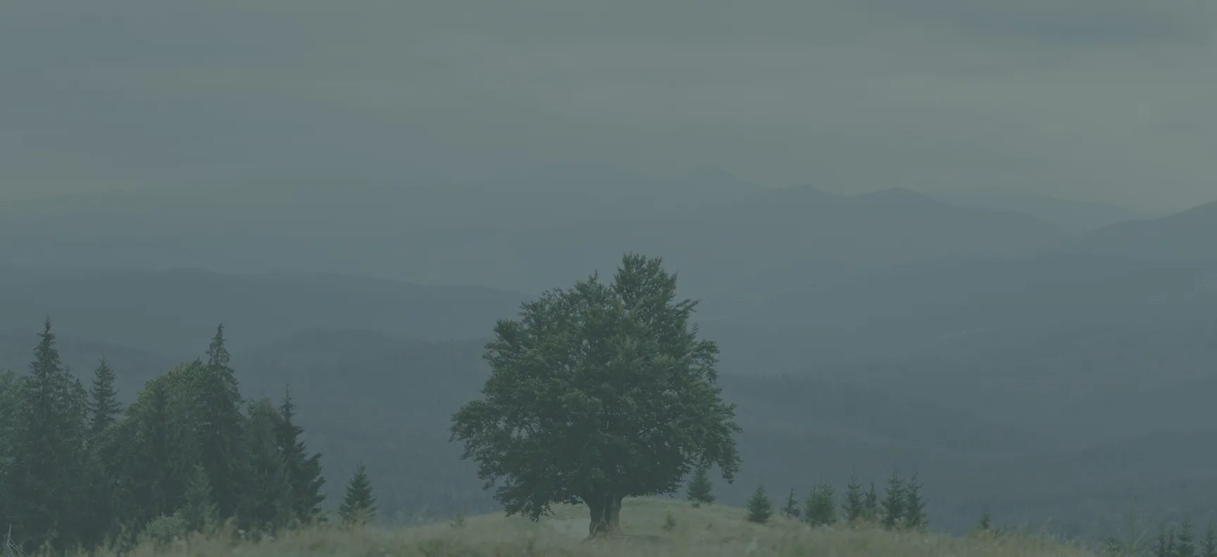 sierra adhd treatment bg - Mental Health Treatment at Sierra Meadows Behavioral Health