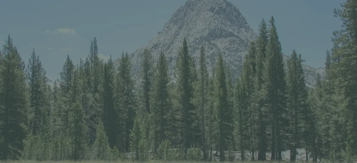 sierra bipolar treatment banner 1 - Mental Health Treatment at Sierra Meadows Behavioral Health