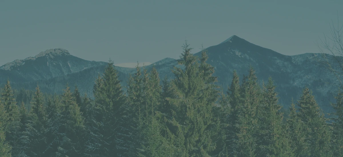 sierra doctoral internship banner - Mental Health Treatment at Sierra Meadows Behavioral Health