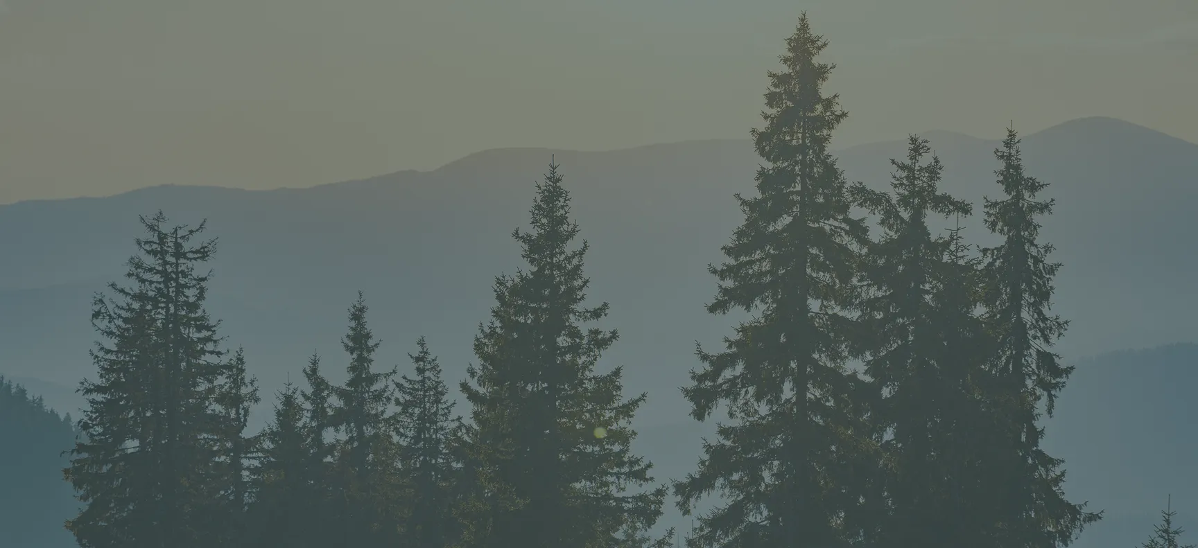 sierra dual diagnosis banner - Mental Health Treatment at Sierra Meadows Behavioral Health