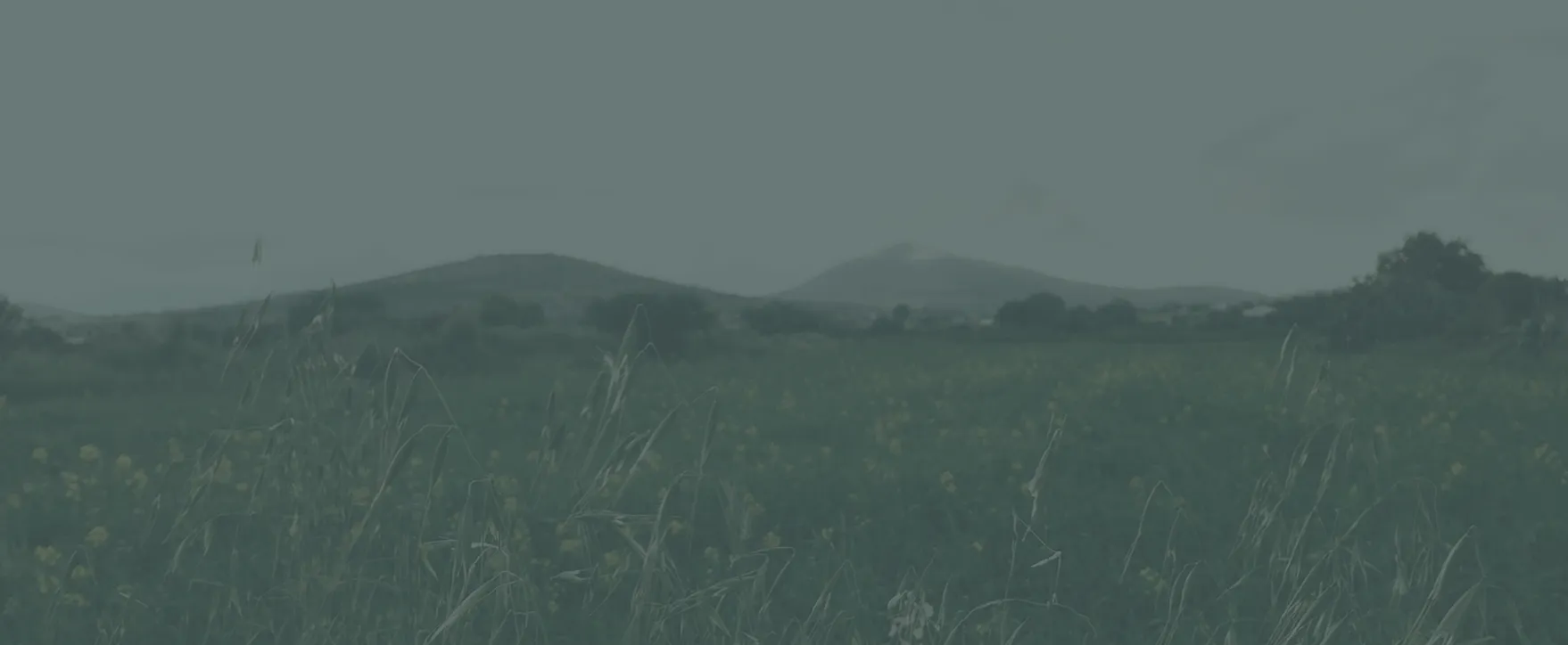 sierra insomnia treatment banner - Mental Health Treatment at Sierra Meadows Behavioral Health