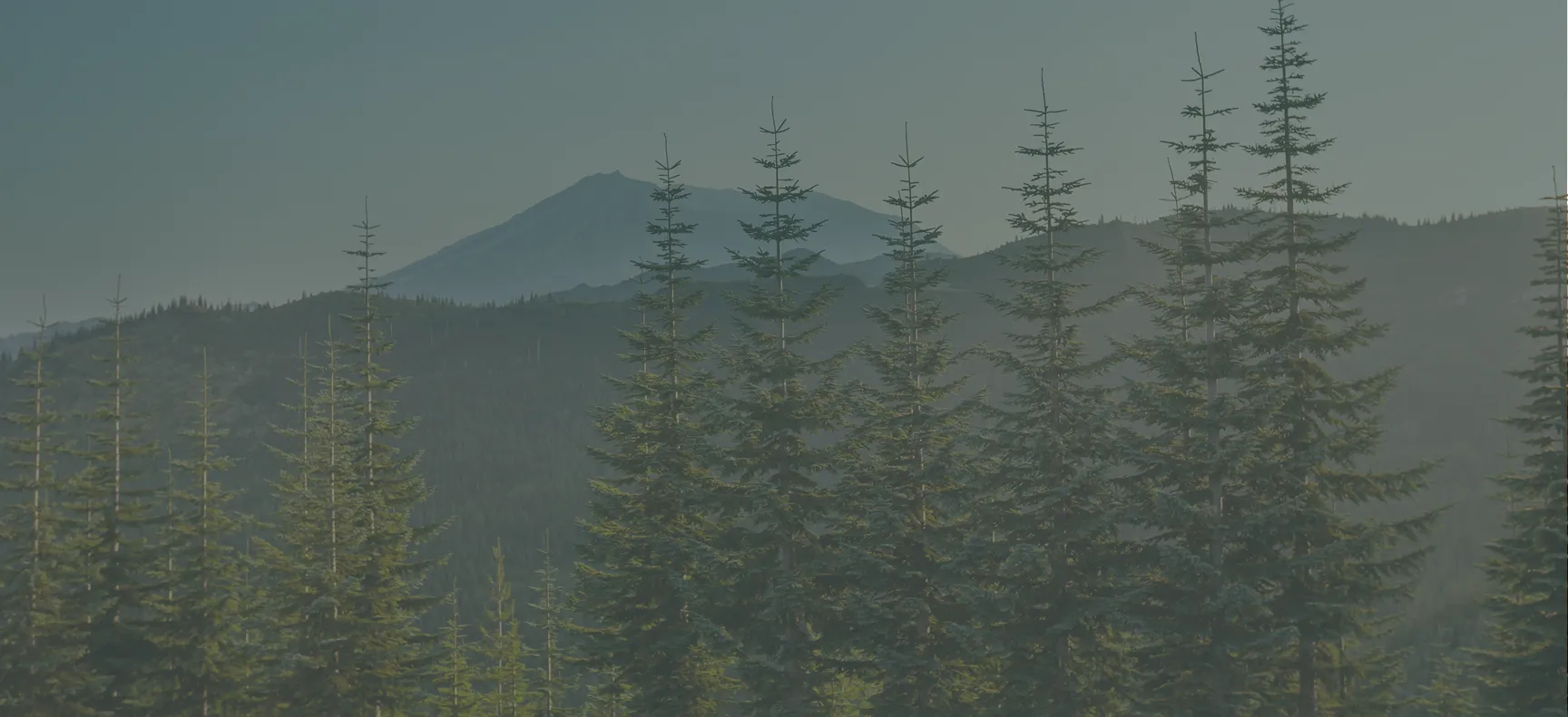 sierra iop banner - Mental Health Treatment at Sierra Meadows Behavioral Health