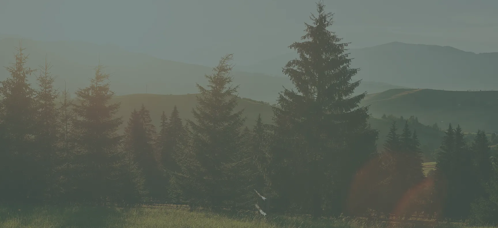 sierra ocd treatment banner - Mental Health Treatment at Sierra Meadows Behavioral Health