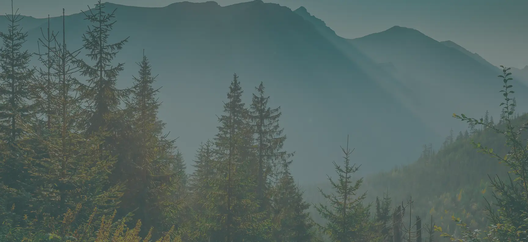 sierra op banner - Mental Health Treatment at Sierra Meadows Behavioral Health