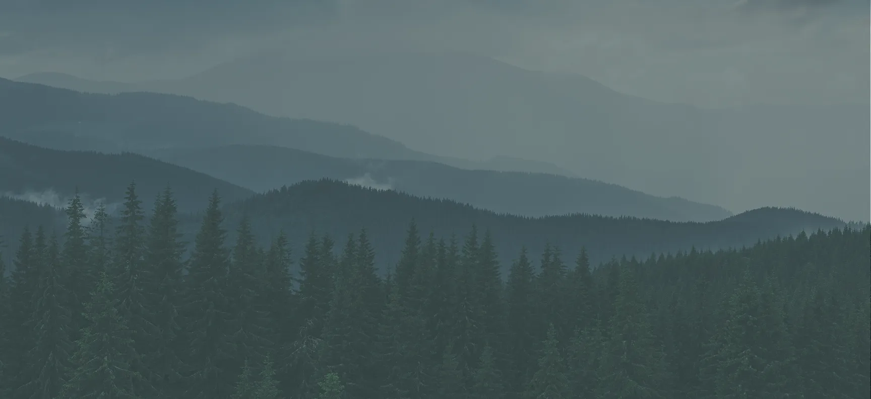 sierra php banner - Mental Health Treatment at Sierra Meadows Behavioral Health