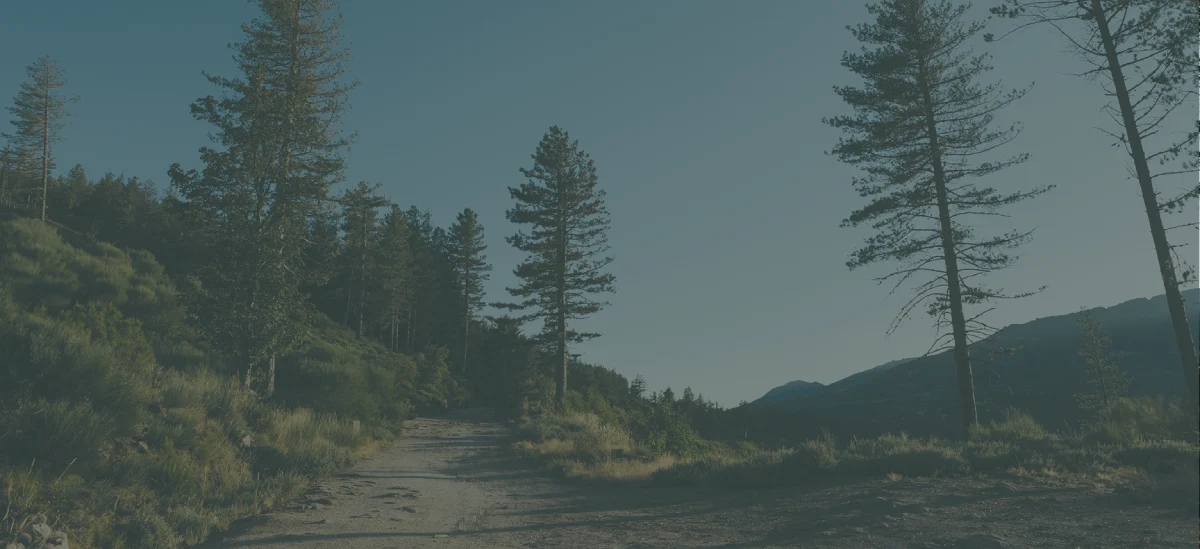 sierra residential treatment banner - Mental Health Treatment at Sierra Meadows Behavioral Health