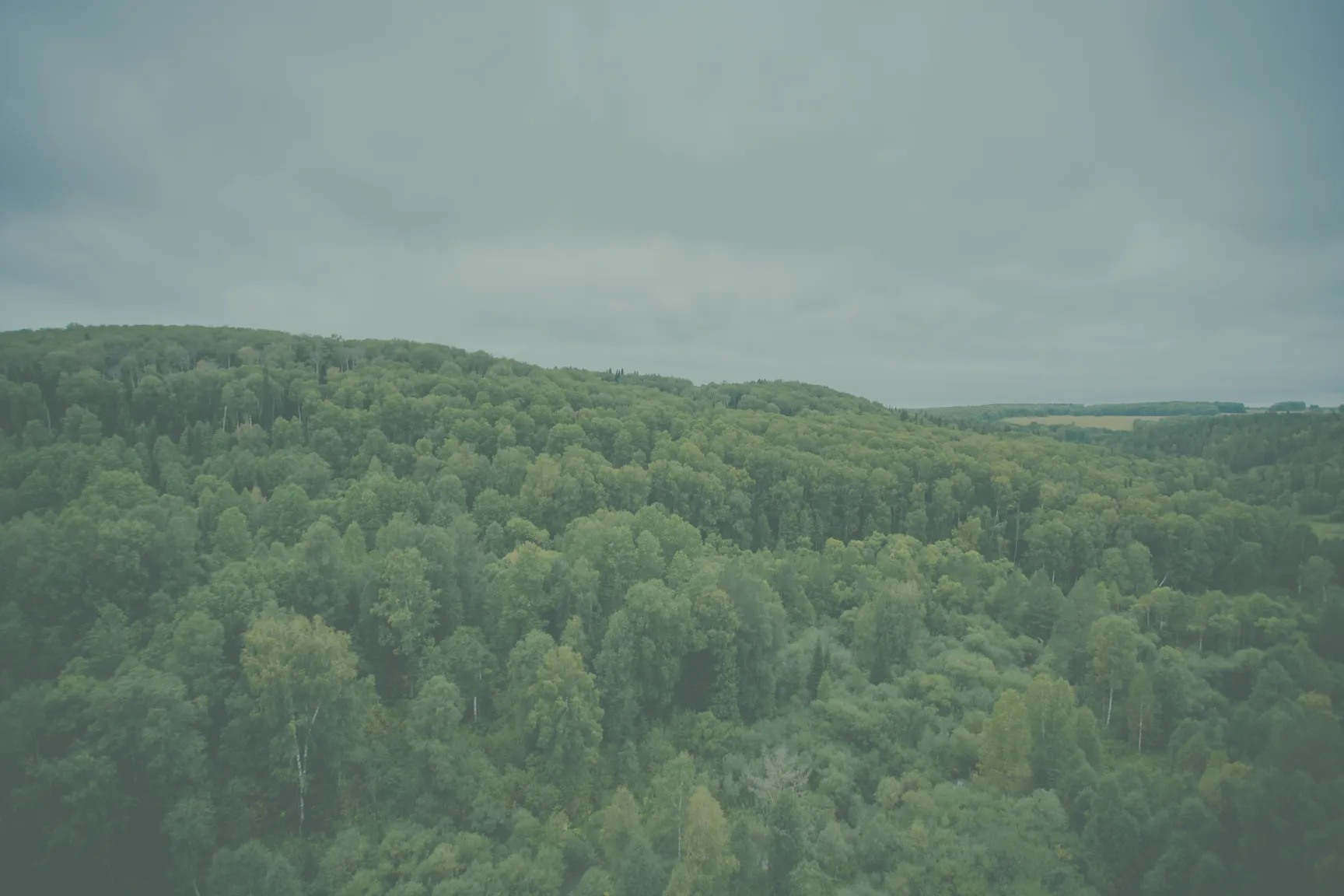 self harm rehab bg 1 - Mental Health Treatment at Sierra Meadows Behavioral Health