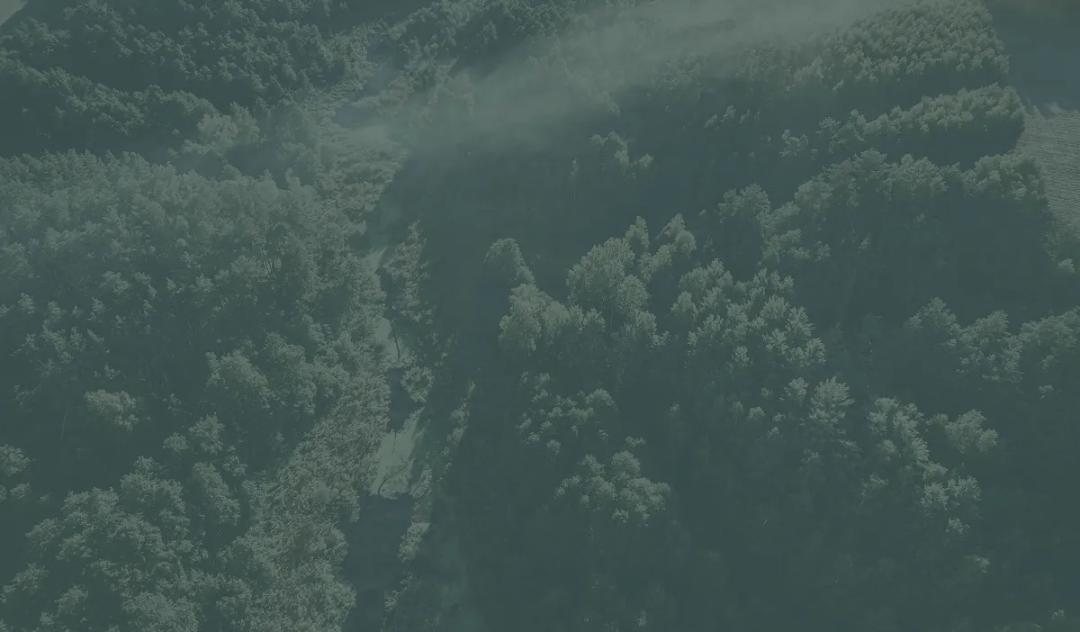 SM borderline personality disorder bg - Mental Health Treatment at Sierra Meadows Behavioral Health