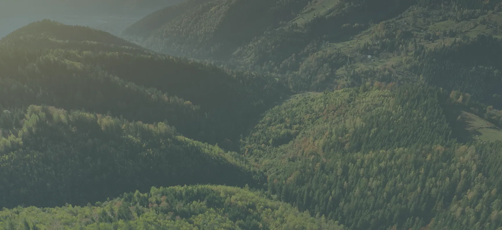 SM counseling bg - Mental Health Treatment at Sierra Meadows Behavioral Health