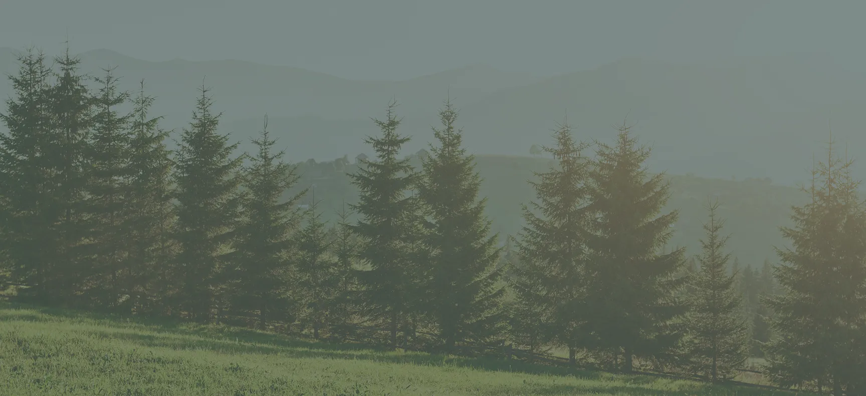 SM individualthreapybg - Mental Health Treatment at Sierra Meadows Behavioral Health