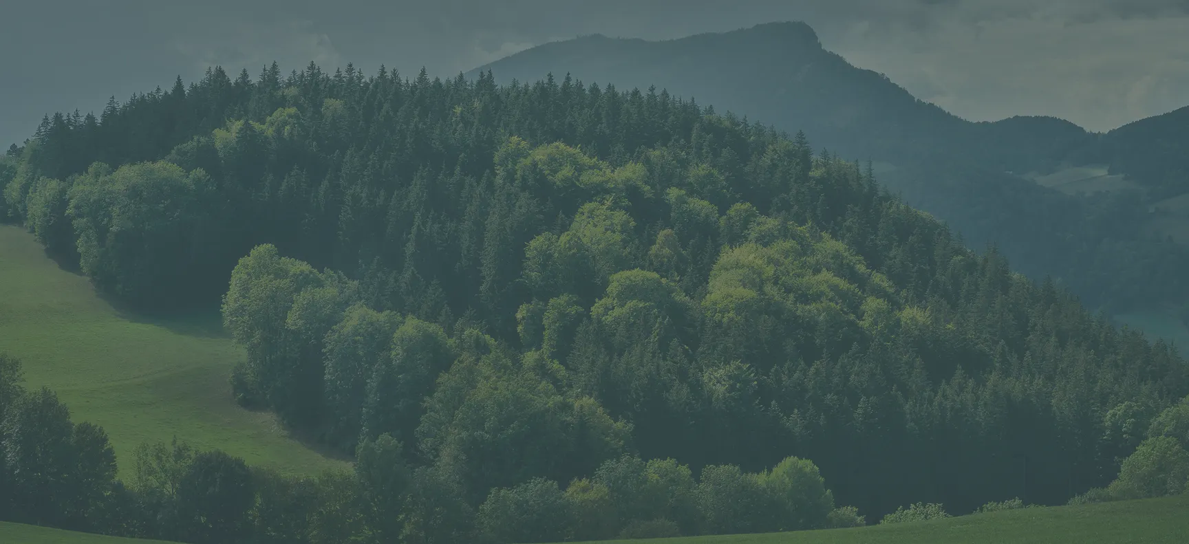 SM our locations bg - Mental Health Treatment at Sierra Meadows Behavioral Health