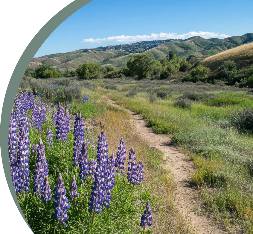 SM our locations hero - Mental Health Treatment at Sierra Meadows Behavioral Health