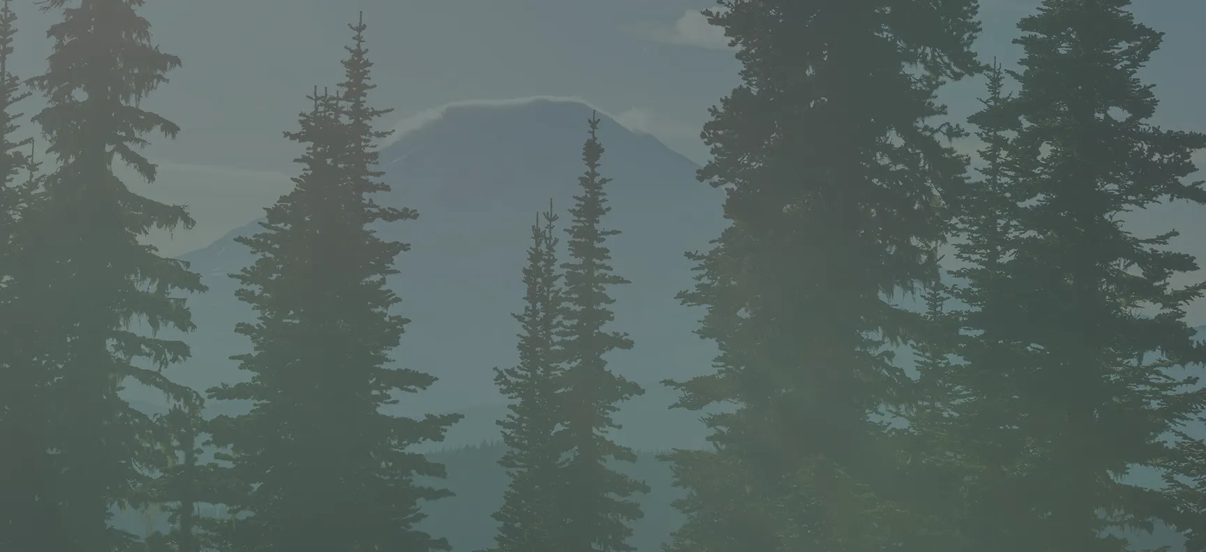 SM our therapies bg - Mental Health Treatment at Sierra Meadows Behavioral Health