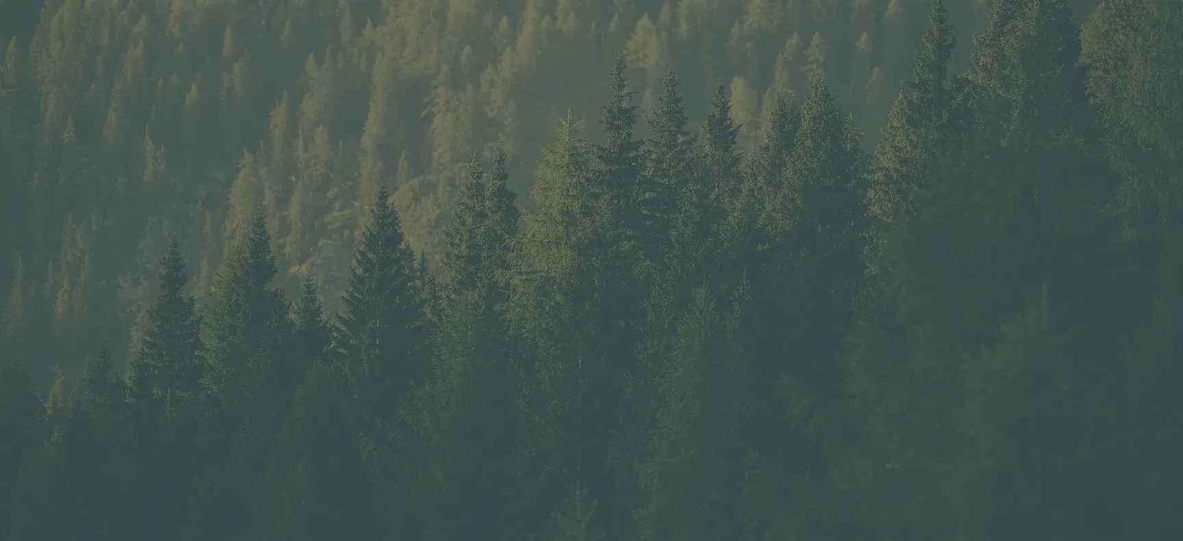 SM resources for rehab admissions bg - Mental Health Treatment at Sierra Meadows Behavioral Health