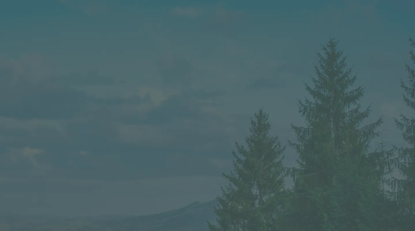 SM verify insurance bg - Mental Health Treatment at Sierra Meadows Behavioral Health